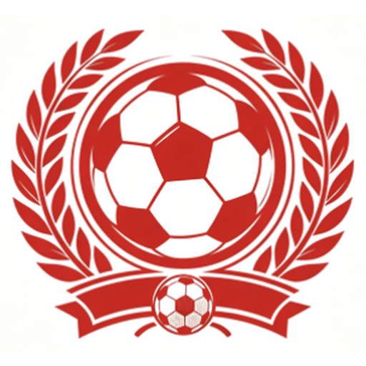 风速体育 logo